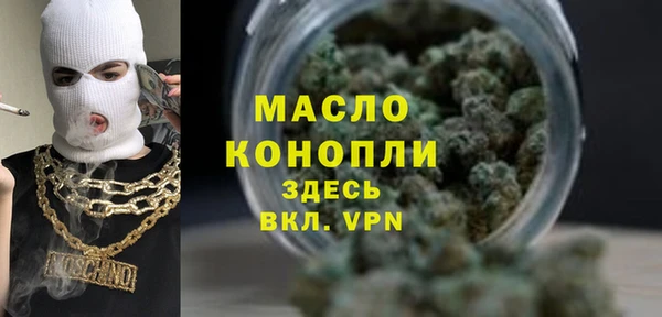 индика Белокуриха