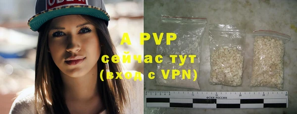 индика Белокуриха