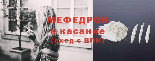 индика Белокуриха