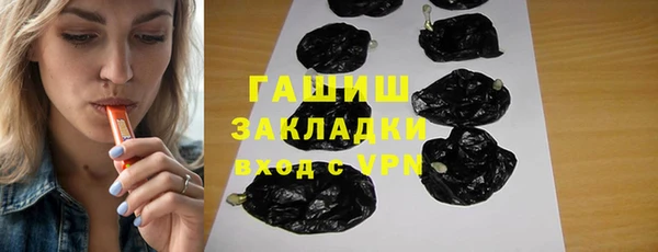 индика Приозерск