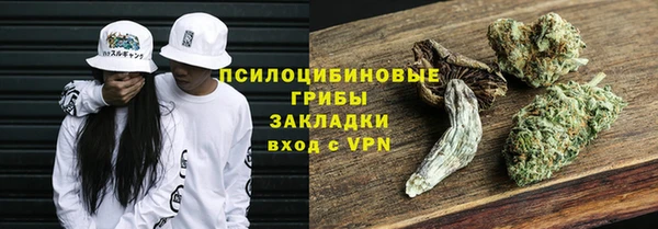 индика Белокуриха