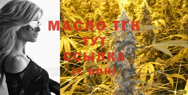 индика Белокуриха