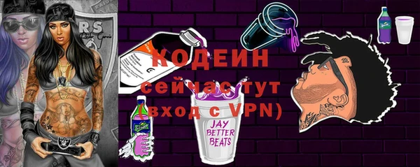 индика Белокуриха