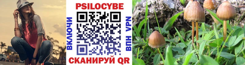 Галлюциногенные грибы Magic Shrooms  Малмыж 